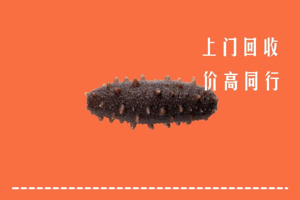 高价求购：建邺区回收海参