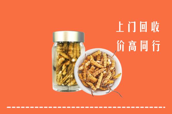 建邺区回收冬虫夏草