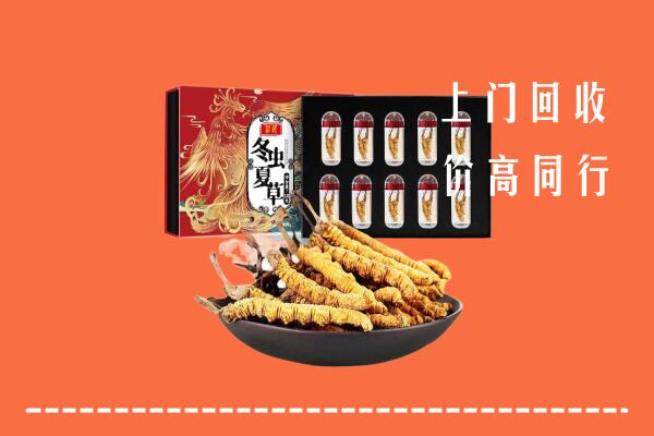建邺区回收虫草